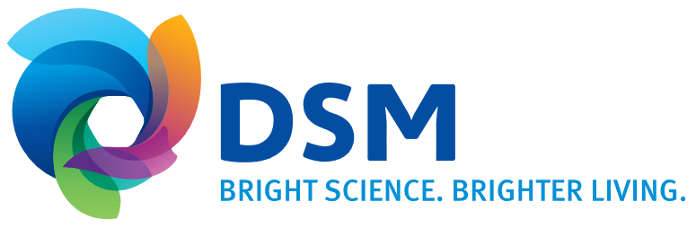 Nowości w DSM 